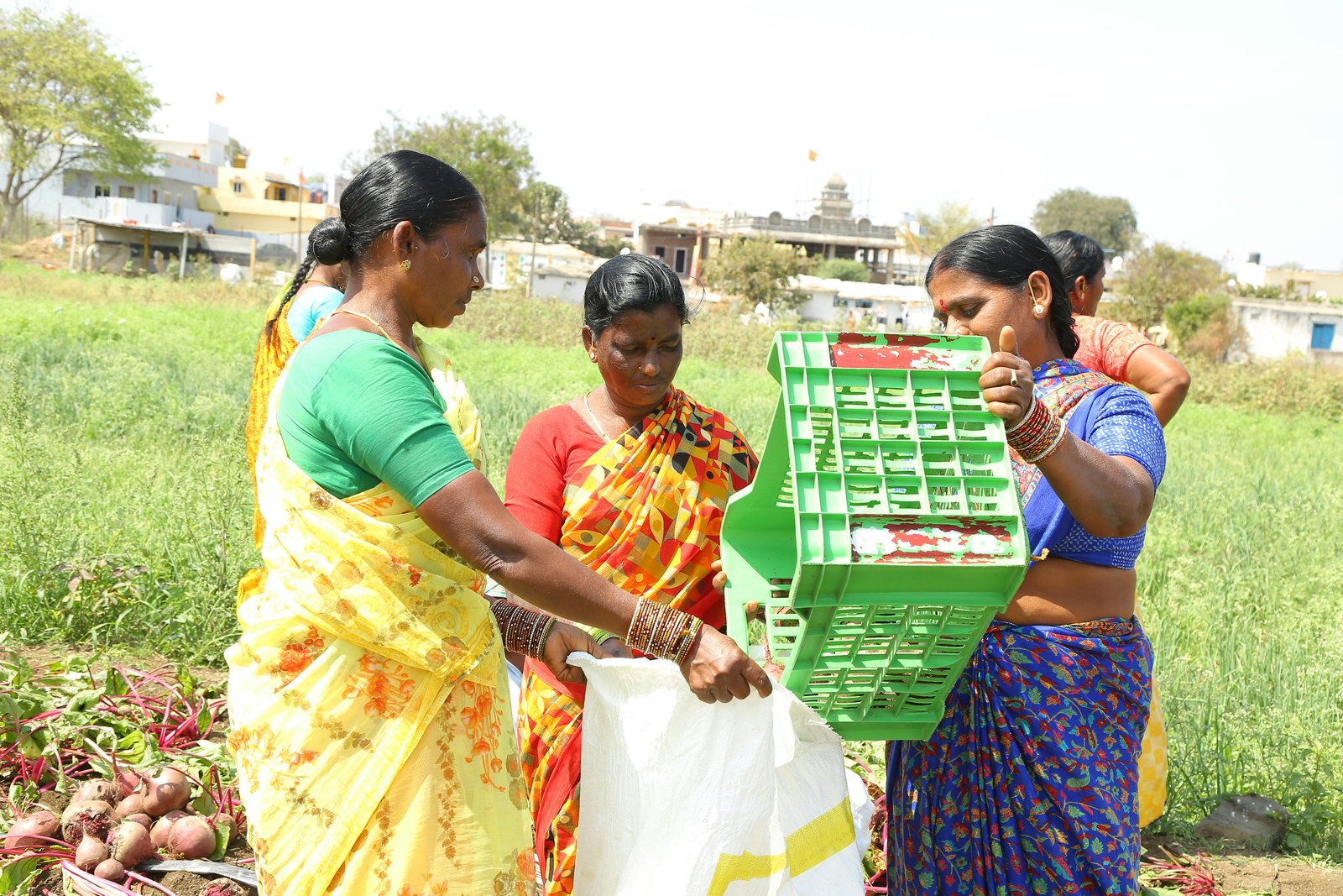 Women sorting produce as part of a livelihood program funded through your support